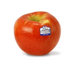 Honey Crisp